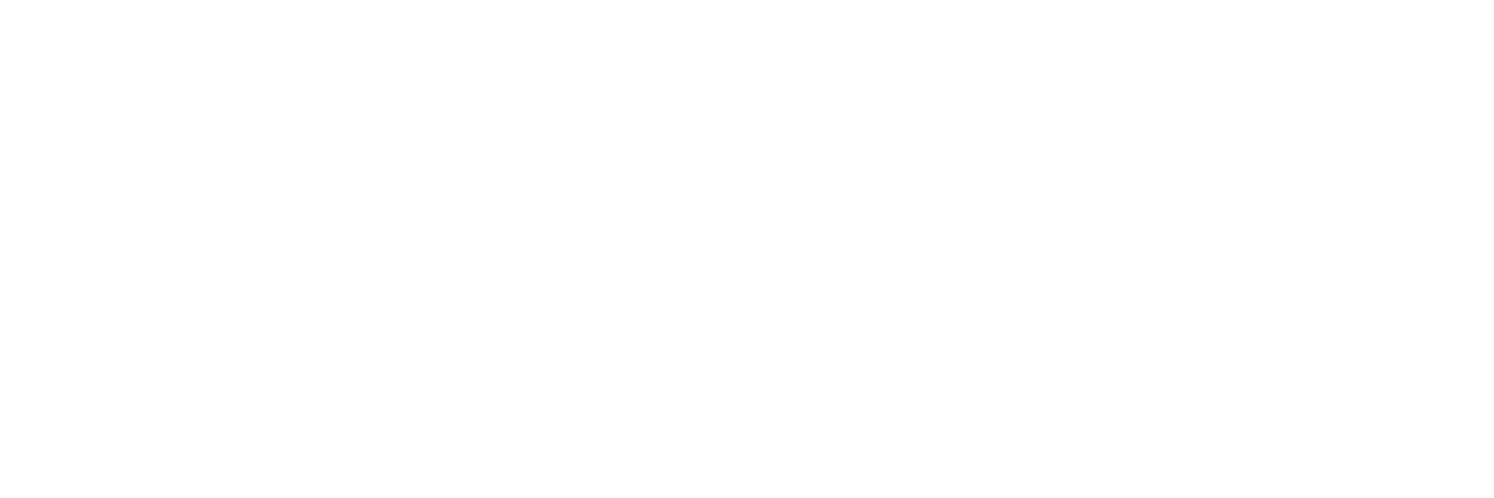 MRDVS logo white