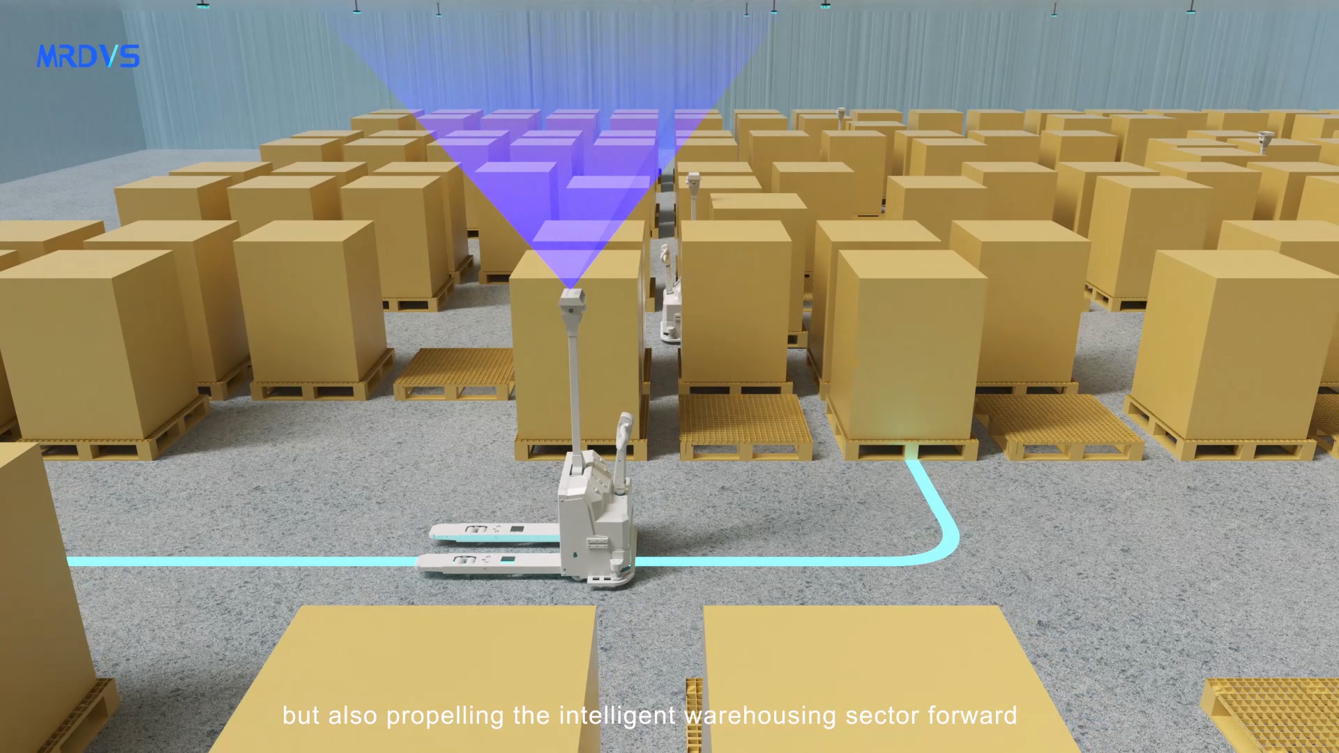 3D Vision Warehouse Slotting Solution.mp4 20240612 095344.946